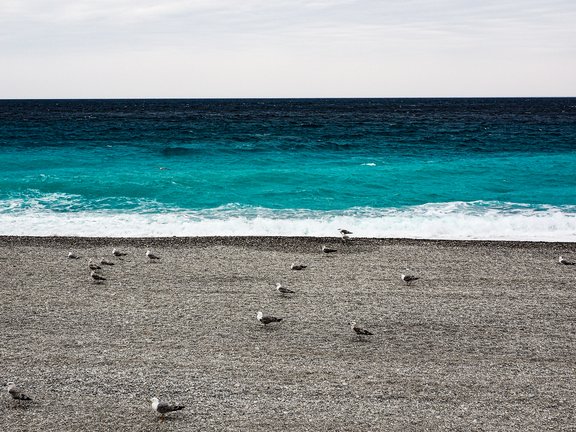 Header_Cote_dAzur.jpg