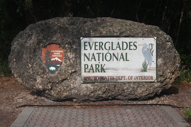 St_H_Everglades__1_.JPG  