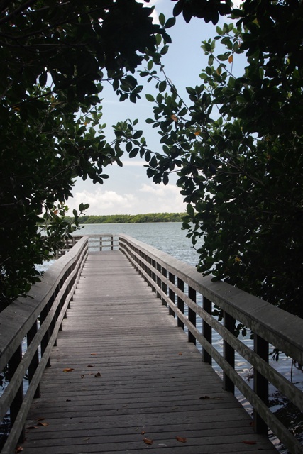 St_H_Everglades__27_.JPG  